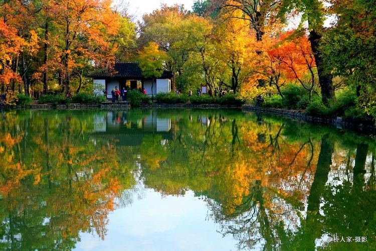 秋韵温柔岁月，冬情惊艳时光