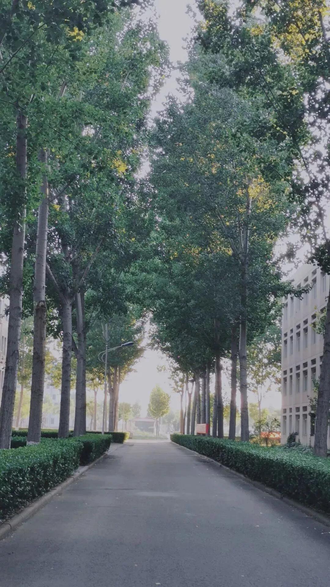 天津市独立院校（四）天津财经大学珠江学院