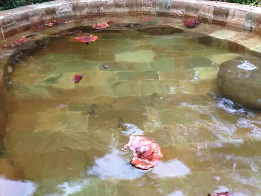 苏州四季恒温水乐园温泉,苏州天颐温泉度假村