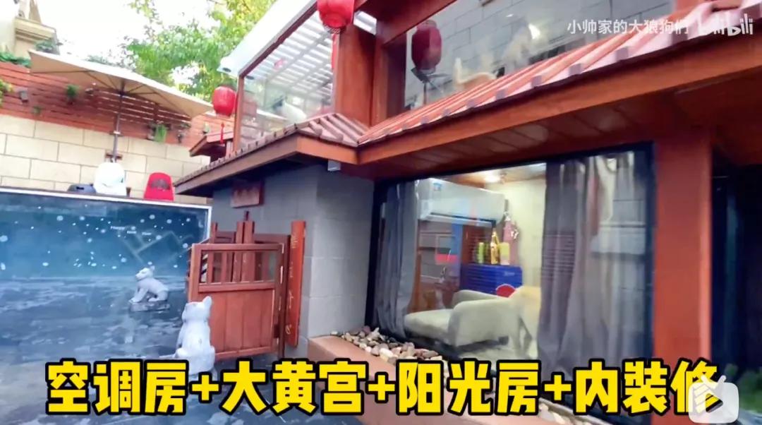 花三年建宠物乐园,花20万给狗打造乐园