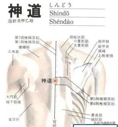 气虚型冠心病缓不过来气的急救穴,中医对心脏病的急救用穴是哪几个