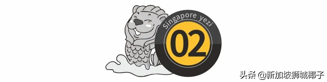国内都有哪些新加坡品牌,新加坡最出名品牌