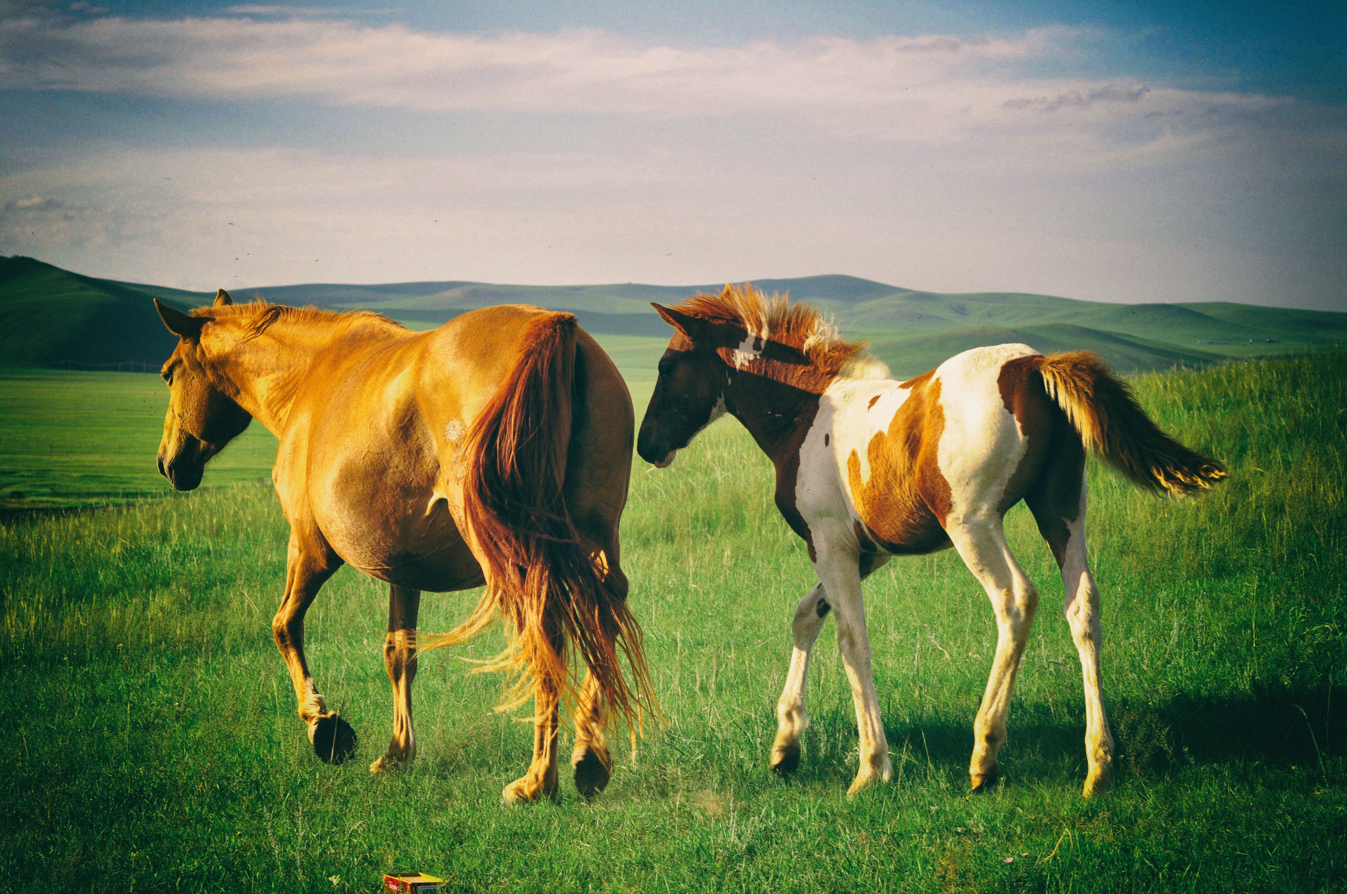 东北边疆,东北行游记2019