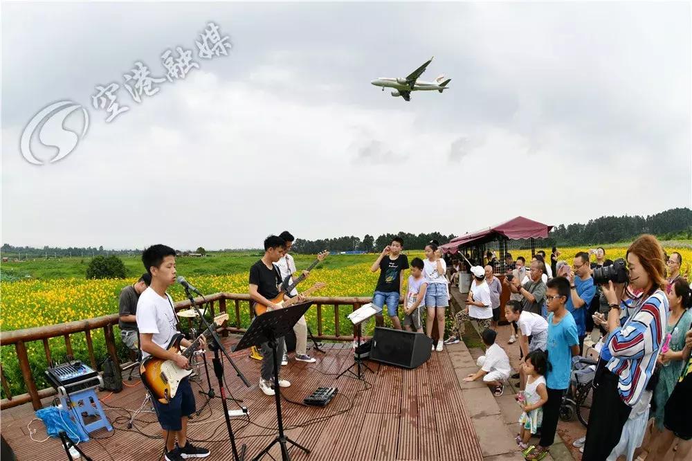 来成都打卡空港花田,成都双流空港花田打卡看飞机