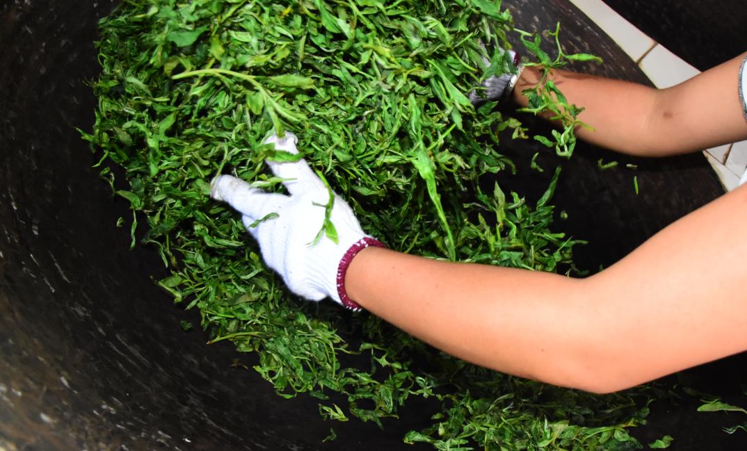 立顿为什么能做好中国茶,立顿和中国茶对比