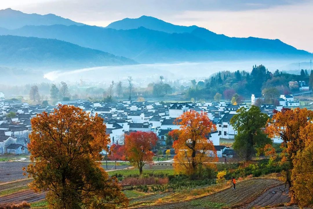 带着狗子旅行推荐,带着狗狗游新疆