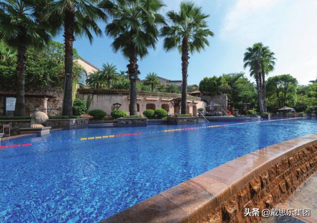 泳池盈利模式,游泳池是怎么盈利