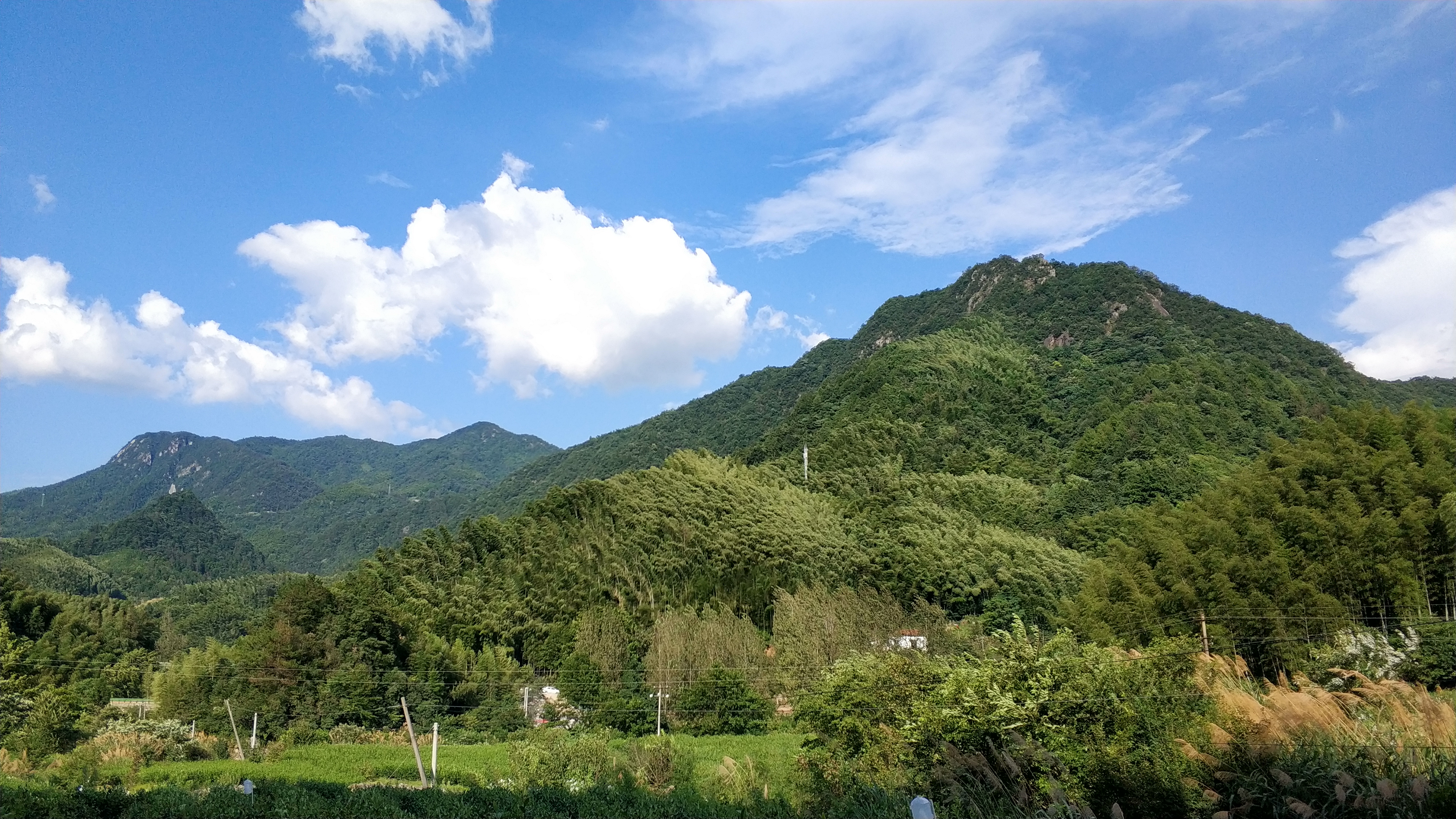 给大家展示一下什么叫做“金山药岭名茶地，竹海栗园水电乡”