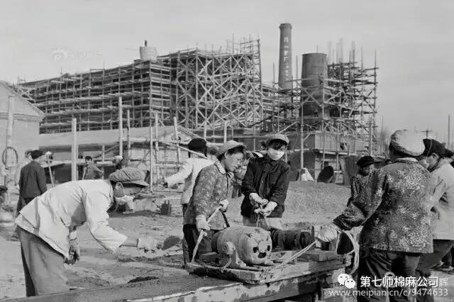 建设兵团1974年老照片,生产建设兵团老照片