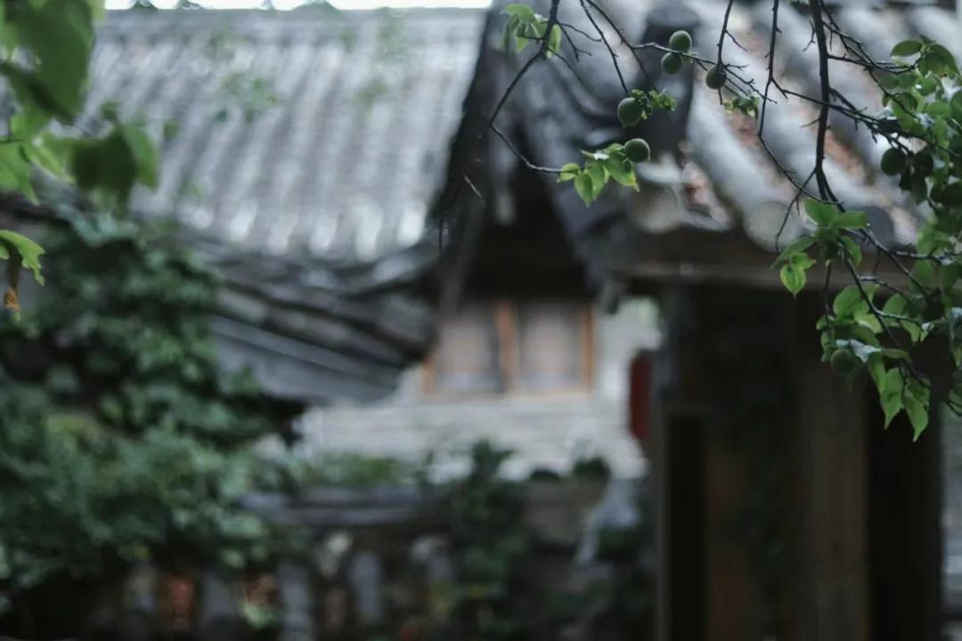 仲夏：在一本古籍中与明朝的云南县相遇