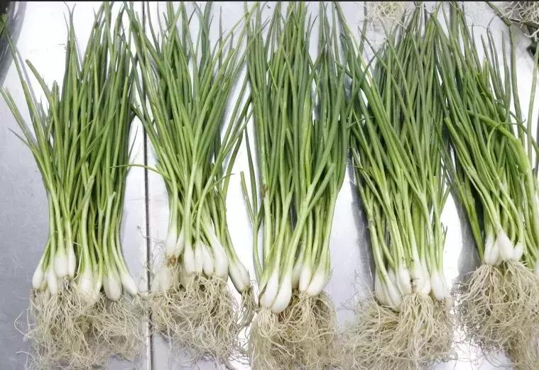 合肥疫情下的菜价行情,合肥蔬菜涨价原因