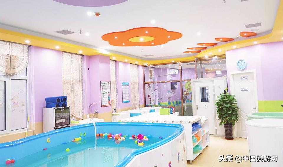 水母艾拉游泳馆加盟多少钱,河北靠谱的游泳馆加盟报价