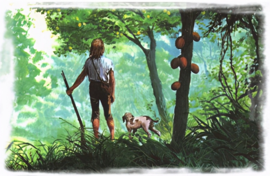 独自来到一个小岛该如何生存,如果你在一个小岛上怎样生存