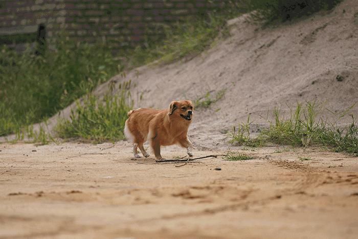 今年会出哪些全画幅微单,最强微单全画幅是r5吗