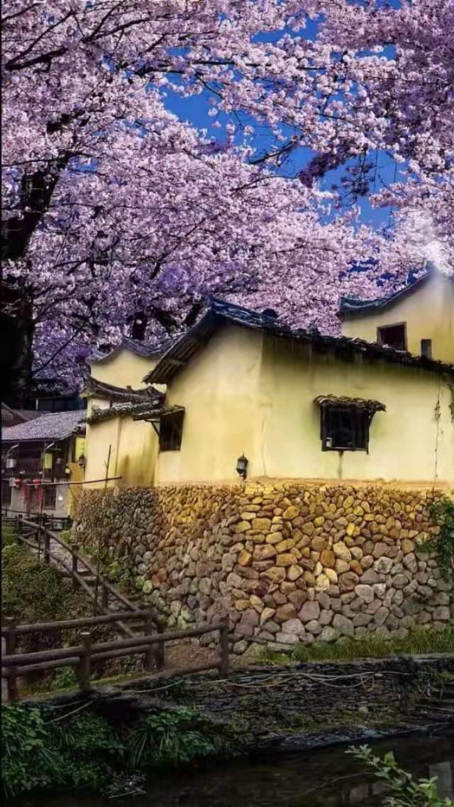 《固守待援》74绳系足单身成婚配守东门巧用三须钩