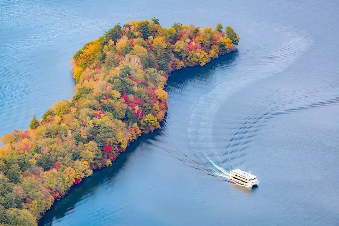 停车坐爱枫林晚，感受火红的秋