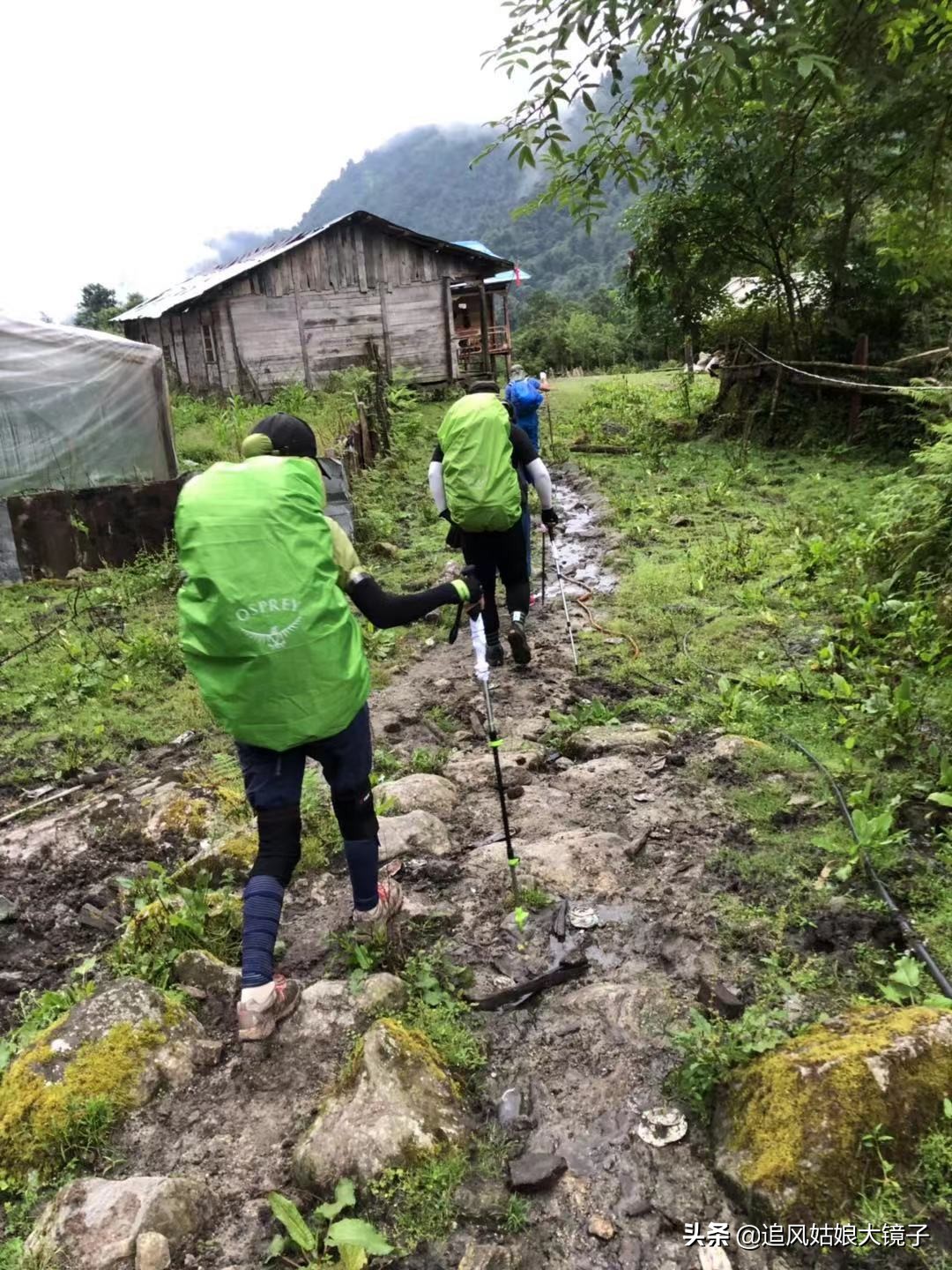 穿越到原始森林里面,穿越原始森林来种田