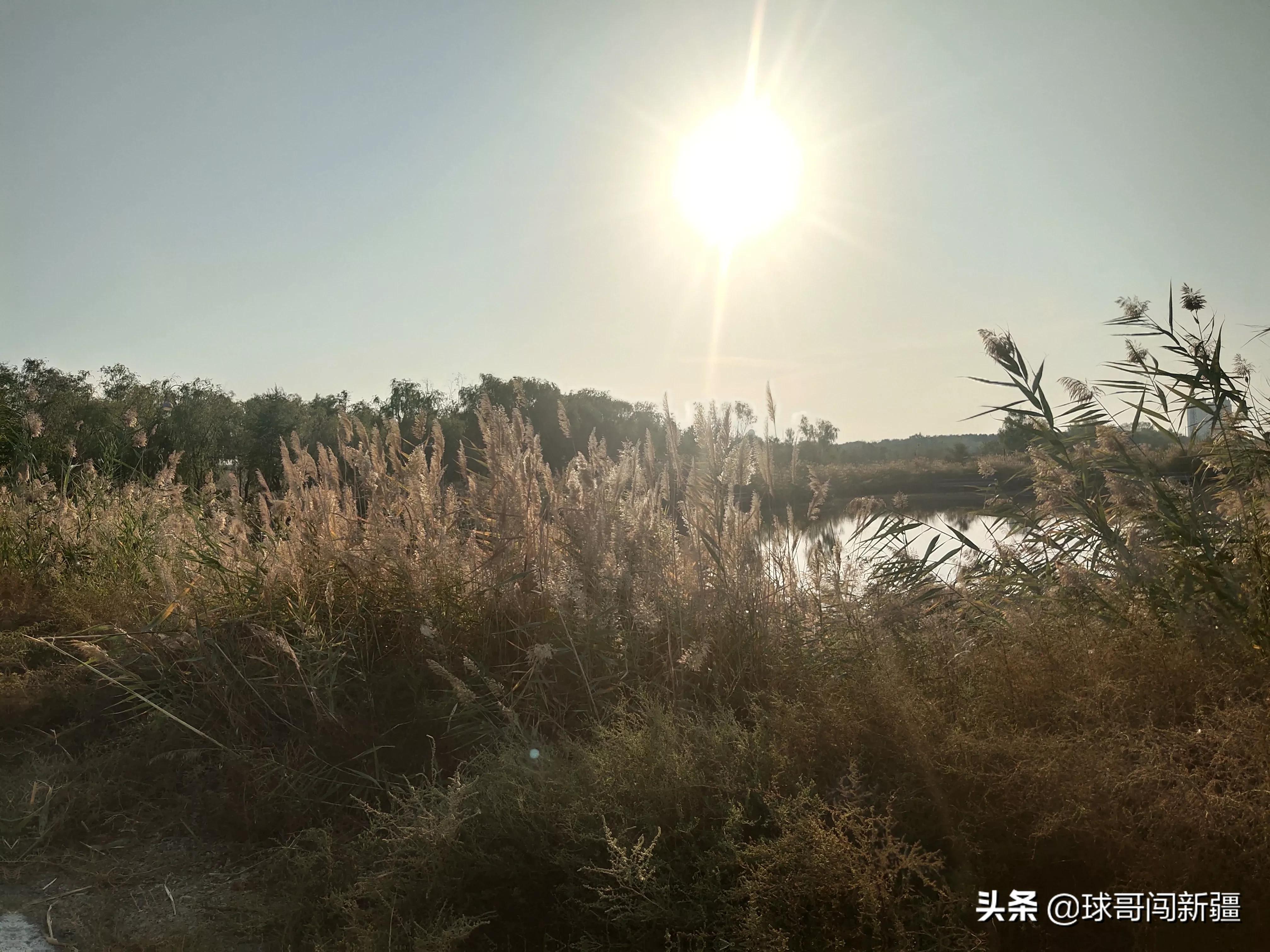 乌鲁木齐五家渠开发区发展,乌鲁木齐城市后花园