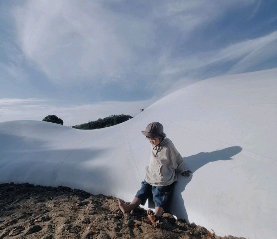 新晋网红打卡地池杉林,小红书网红打卡点