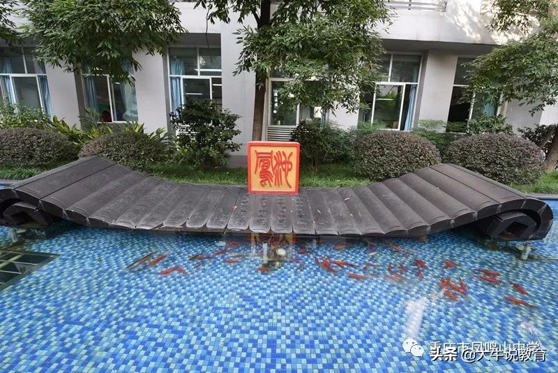 体育特长如何走统招路线,以艺术特长生进入高中