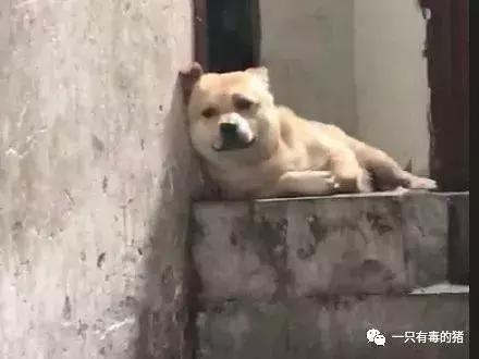 日本网红眼药水禁售原因,日本被禁售的眼药水