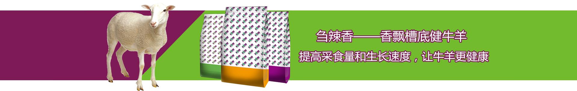 牛羊疾病瘤胃酸中毒解决方案,牛羊酸中毒的机理