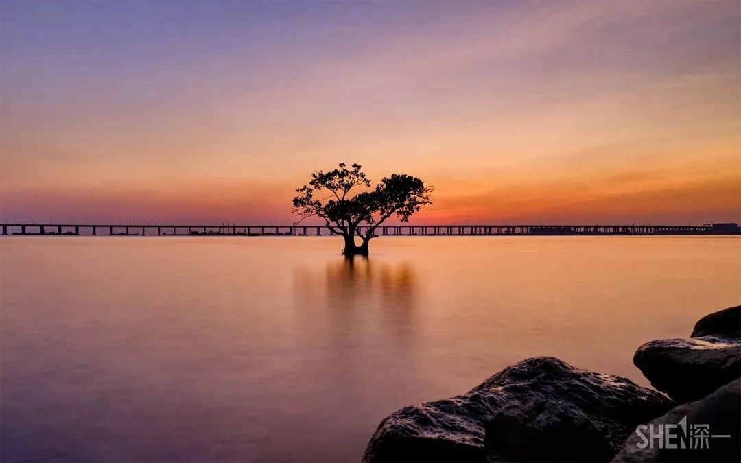 深圳1号线晚上好去处,坐地铁1号线玩遍深圳24个好地方