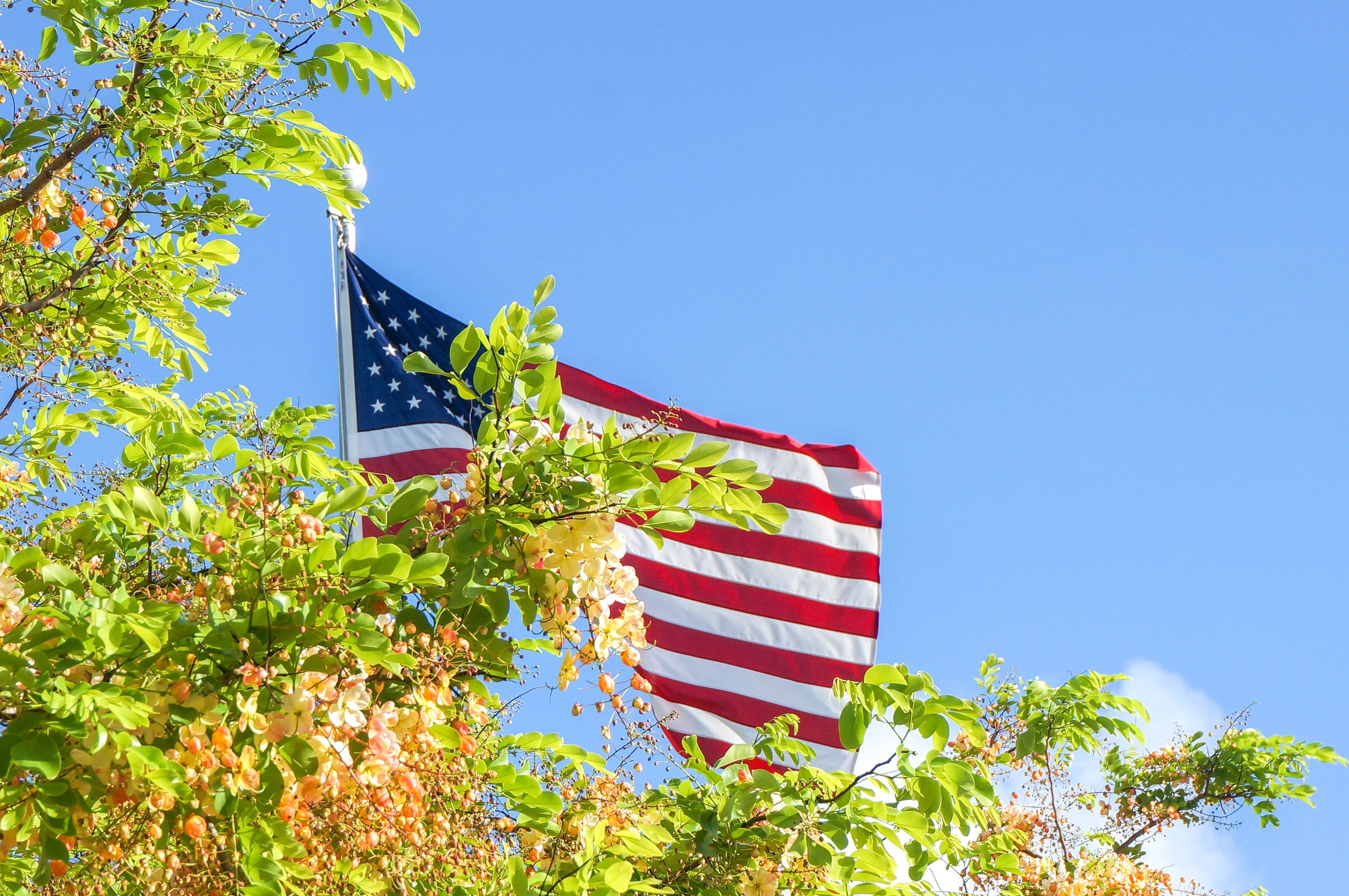 美国十年签证护照过期了怎么办,在国外护照和签证都过期了怎么办