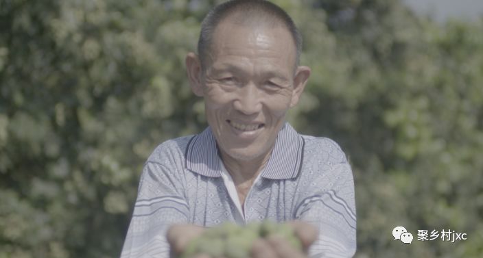 重庆江津石蟆青果,江津石蟆青果