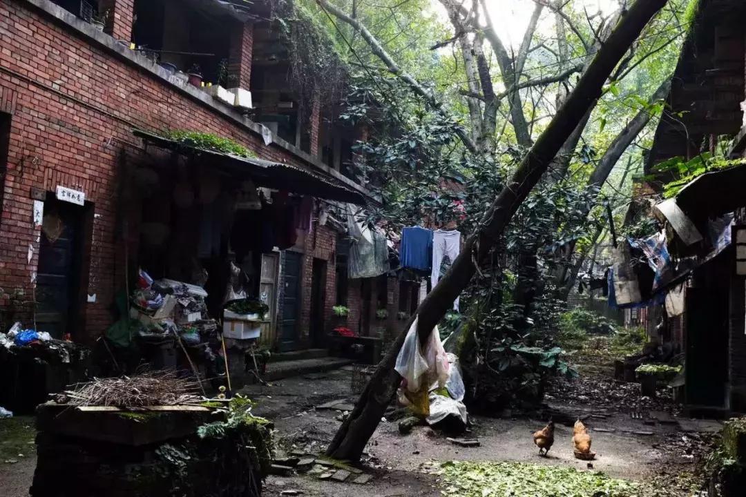 铜元局记忆视频,铜元局记忆照片