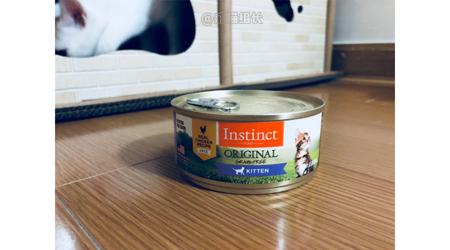 猫吃主食罐头好还是猫粮好,猫零食罐头和主食罐头的区别