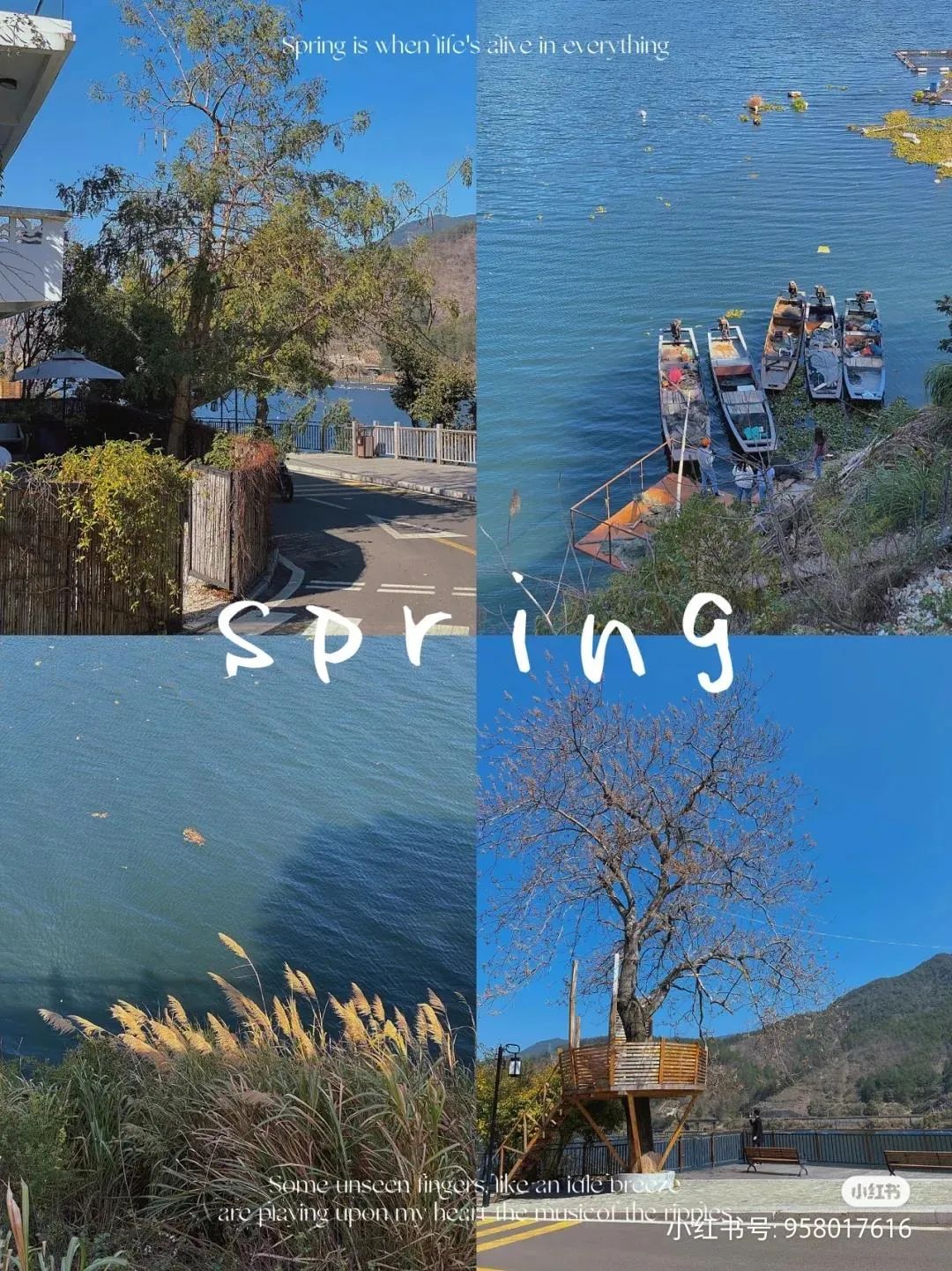 连朱熹都点赞的闽江水口，竟然这么好玩