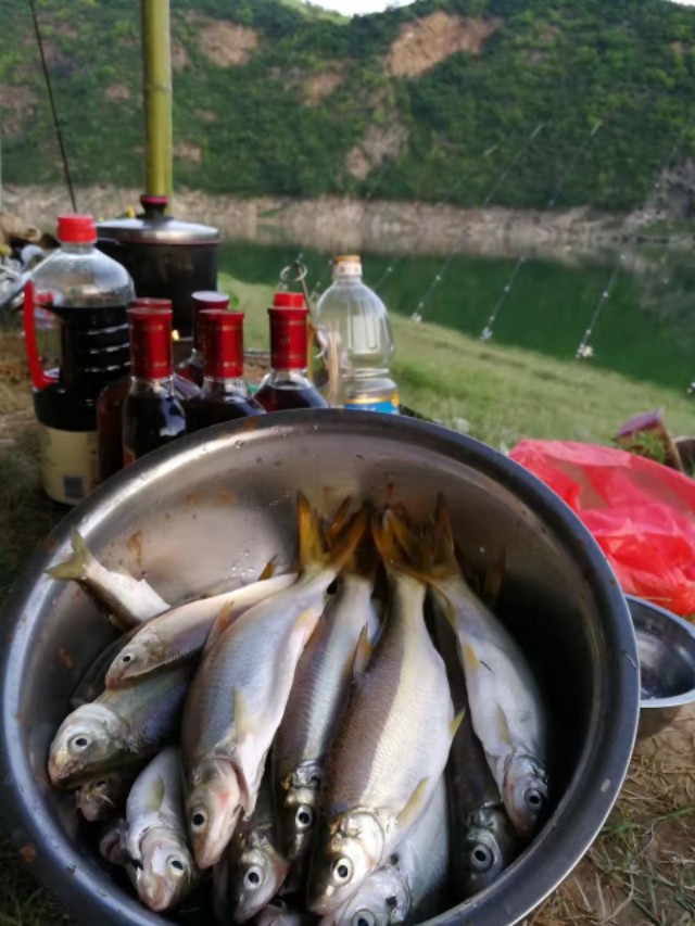 找个爱钓鱼的男闺蜜,找一个爱钓鱼的人