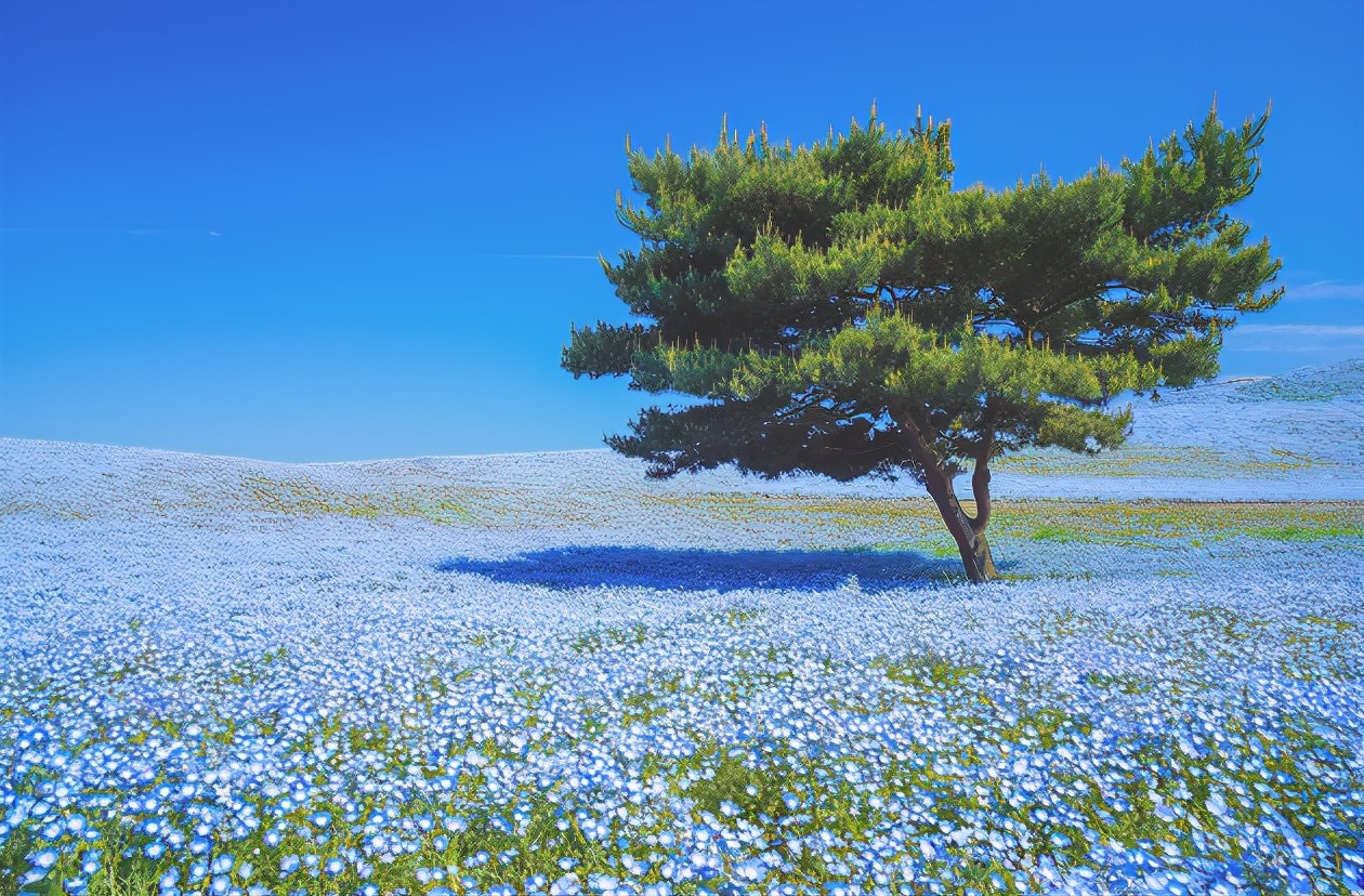 日本茨城观光之旅视频,从东京可以一日游去日本茨城玩