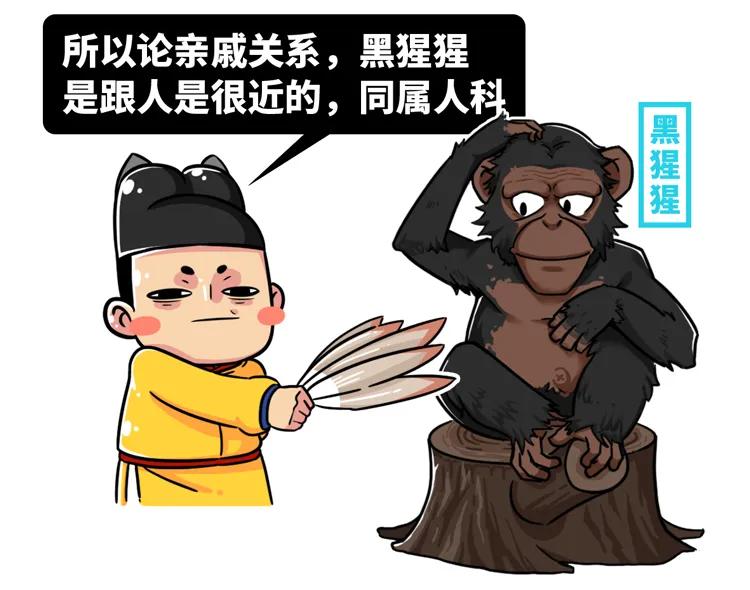 猩猩为什么战胜人类,人类与猩猩的祖先是一样的吗