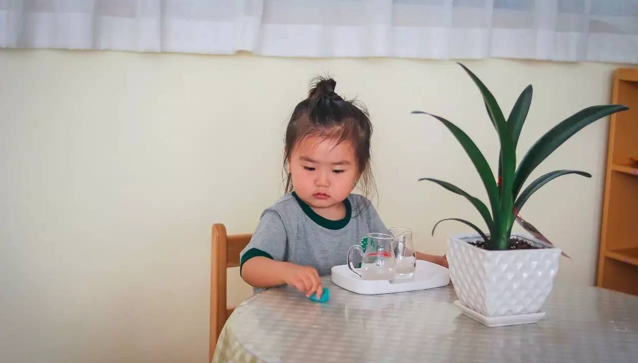 性格急躁的孩子怎么引导,怎么培养急躁的孩子