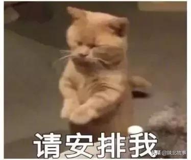 榆林购物首选,榆林万达周边有什么逛的