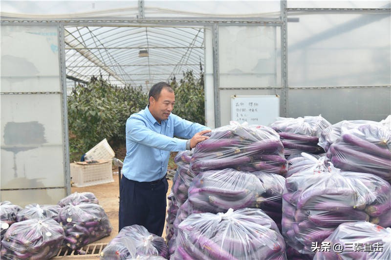 西咸空港新城都市农业规划,西咸新区泾河新城智慧农业