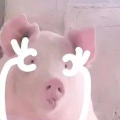 新人主播怎么学习控场,主播声线教学