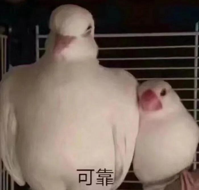 坚持做这些事让你有巨大变化,坚持做这几件事拉开同龄人差距