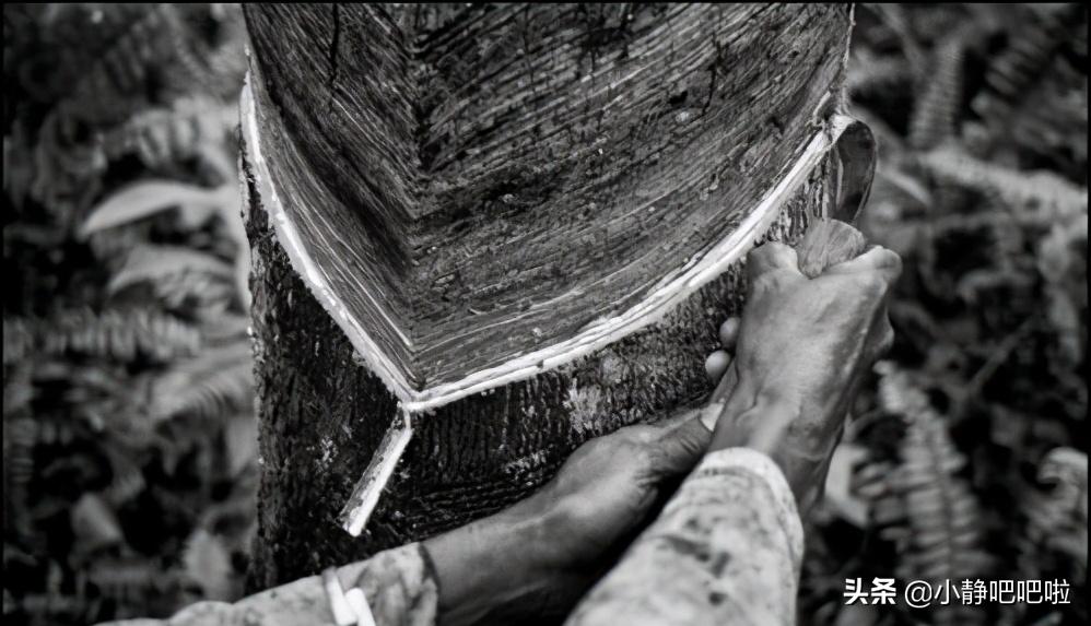 你不知道的国家冷知识尼泊尔,真实的印度尼西亚