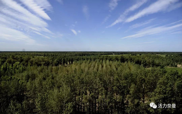 45万奈曼人的名片，太漂亮了！除了中华麦饭石你还知多少？