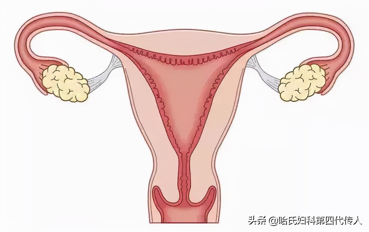 子宫内膜太薄不能顺产吗,子宫内膜薄怀不上孕吗