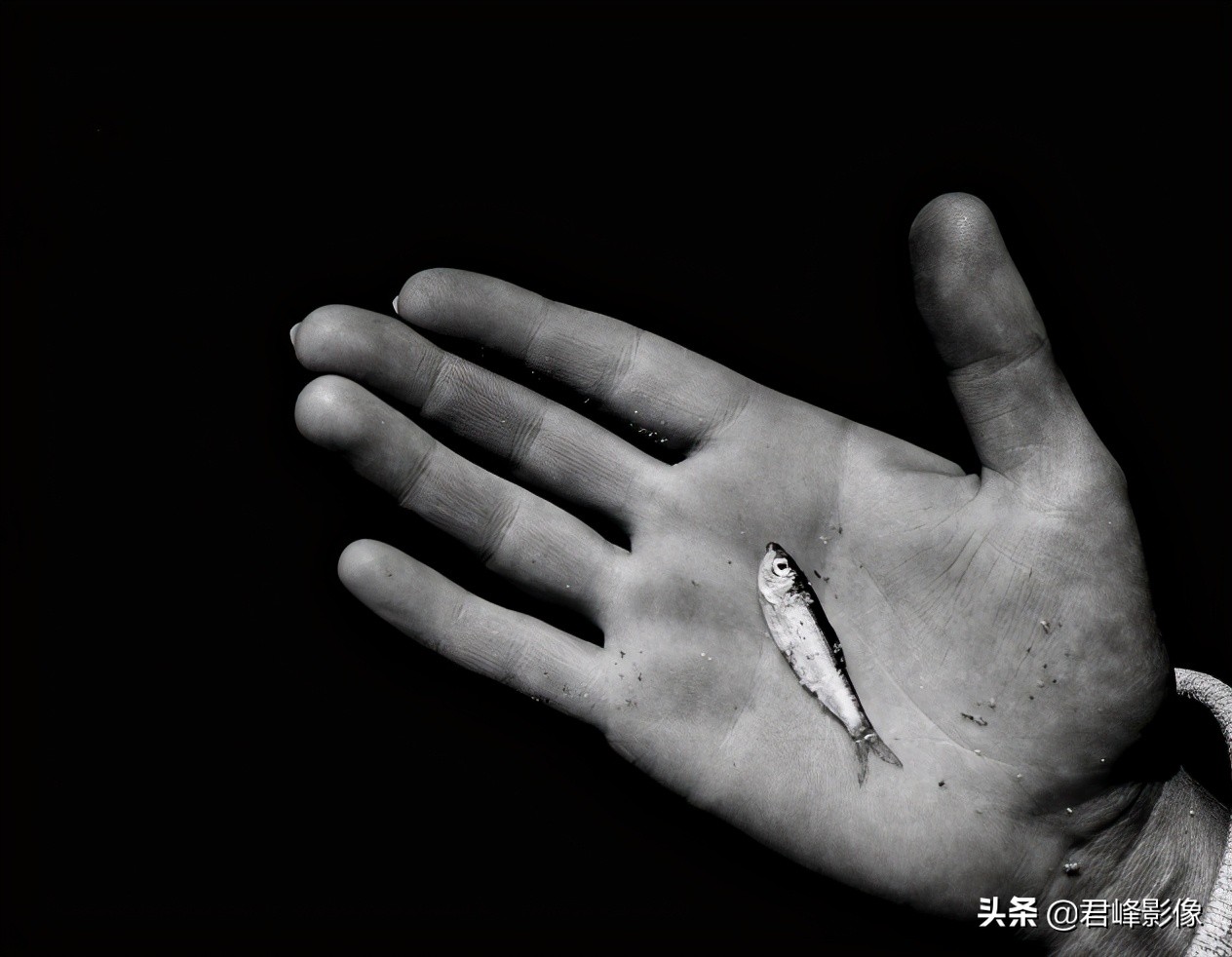 中国摄影大师谈摄影,摄影大师为何他们这么有灵感