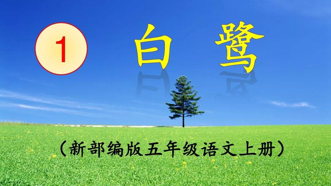 五年级部编版语文白鹭讲课视频,部编小学语文五年级上册白鹭课件