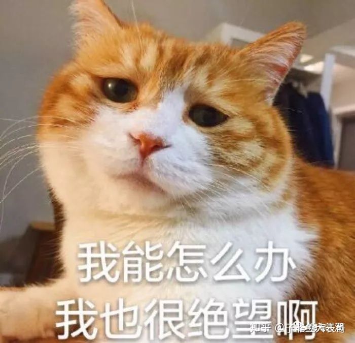 你以为代购真实的样子,一分钟教你认识真假代购