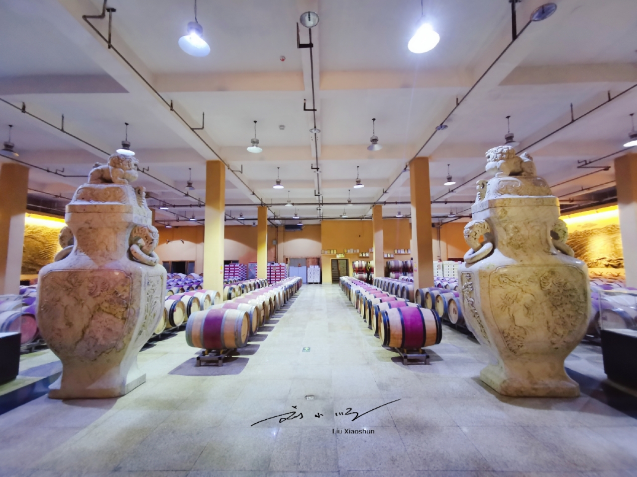 在国内知名度最高的葡萄酒,中国葡萄酒最大的特点在哪里