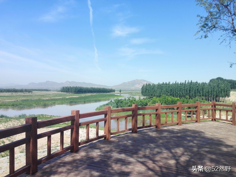 蛙鸣声入耳全文,蛙鸣悠扬音频