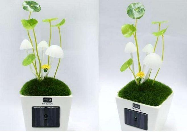 摆地摊什么小商品最火爆,十大爆款小商品适合摆地摊