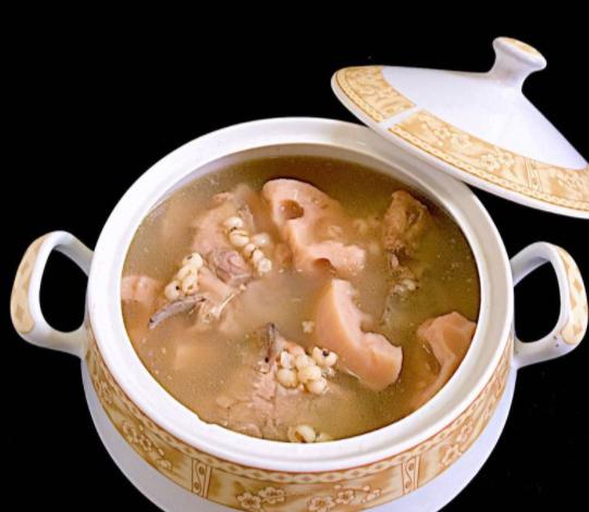 狗狗刚生完小狗注意事项,狗狗刚生完小狗喂什么